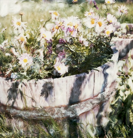 bucket of springtime