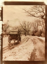 Central Park Carriage ride