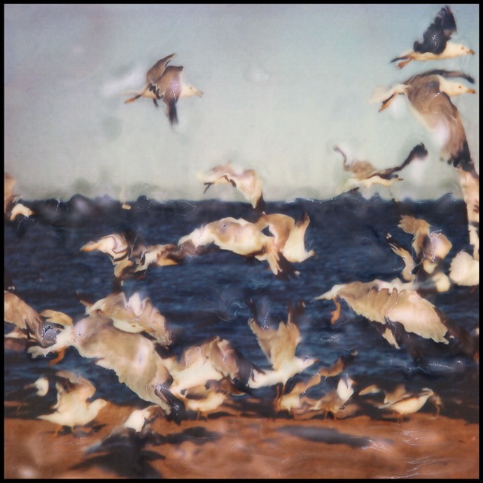 flight