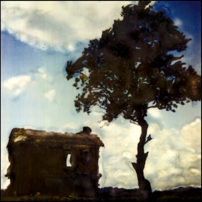 homestead