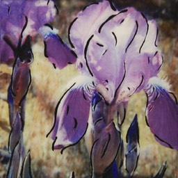 irises