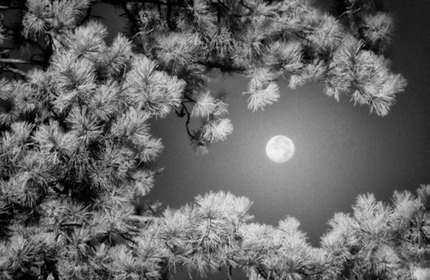Moonscape