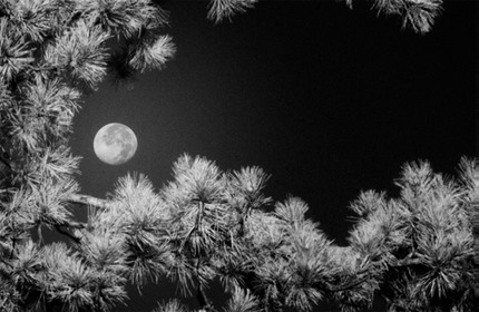 Moonscape2