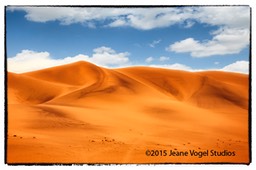 namib print