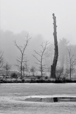 OneFoggyMorn9print