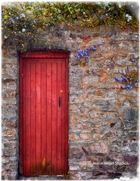 Red Alley Door