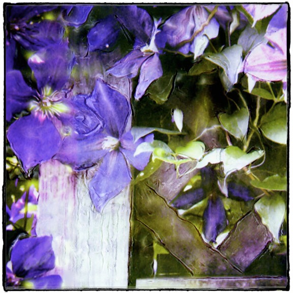 Summer Breeze print