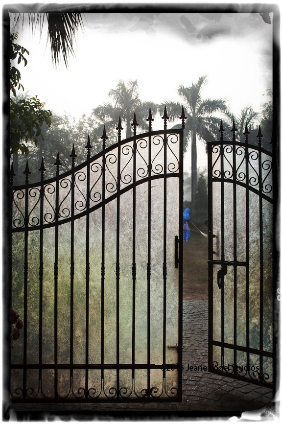 The Garden framed