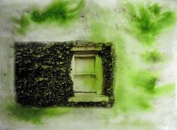 Window Ivy